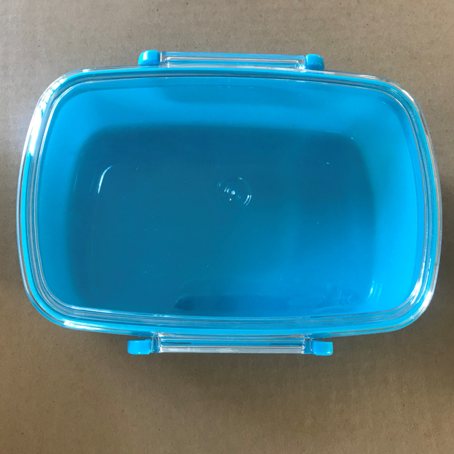Ланч-бокс FRESH, пластик, 750мл, 18х13х6,1 см, голубой