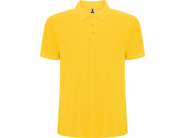 Рубашка поло Pegaso мужская