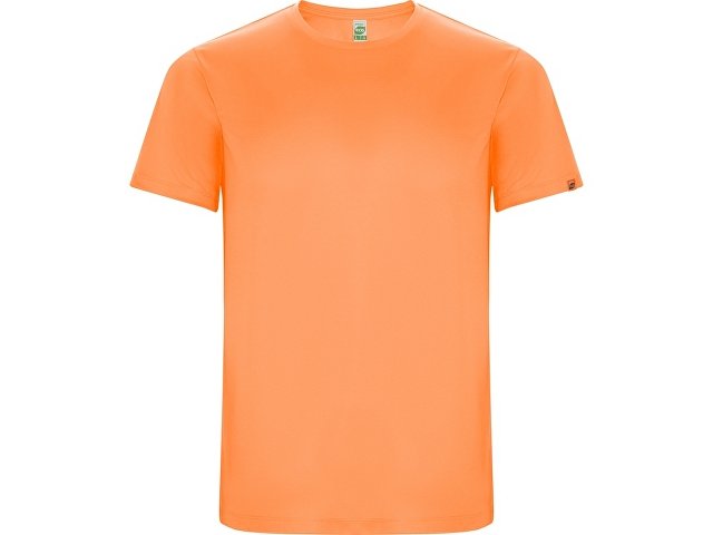 Спортивная футболка Imola мужская